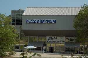 delfinarium