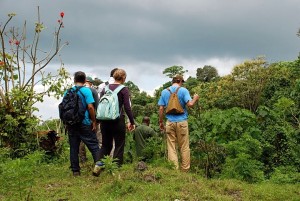 https://www.art1a1d.com/wp-content/uploads/2017/07/Congo-14.jpg