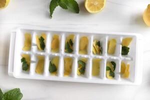 lemon-ice-cubes-1-scaled-1-1024x683