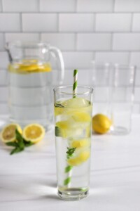 lemon-ice-cubes-6-1920x2880-1-683x1024